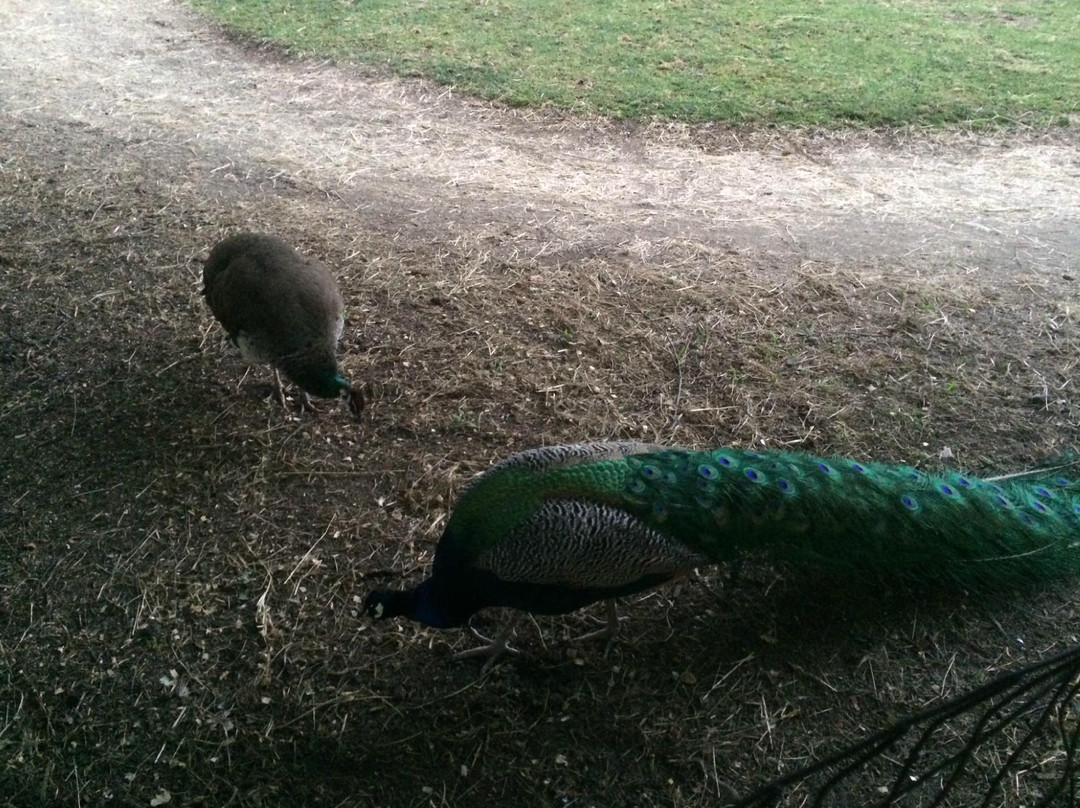 Kimball Farm-韦斯特福德必去景点