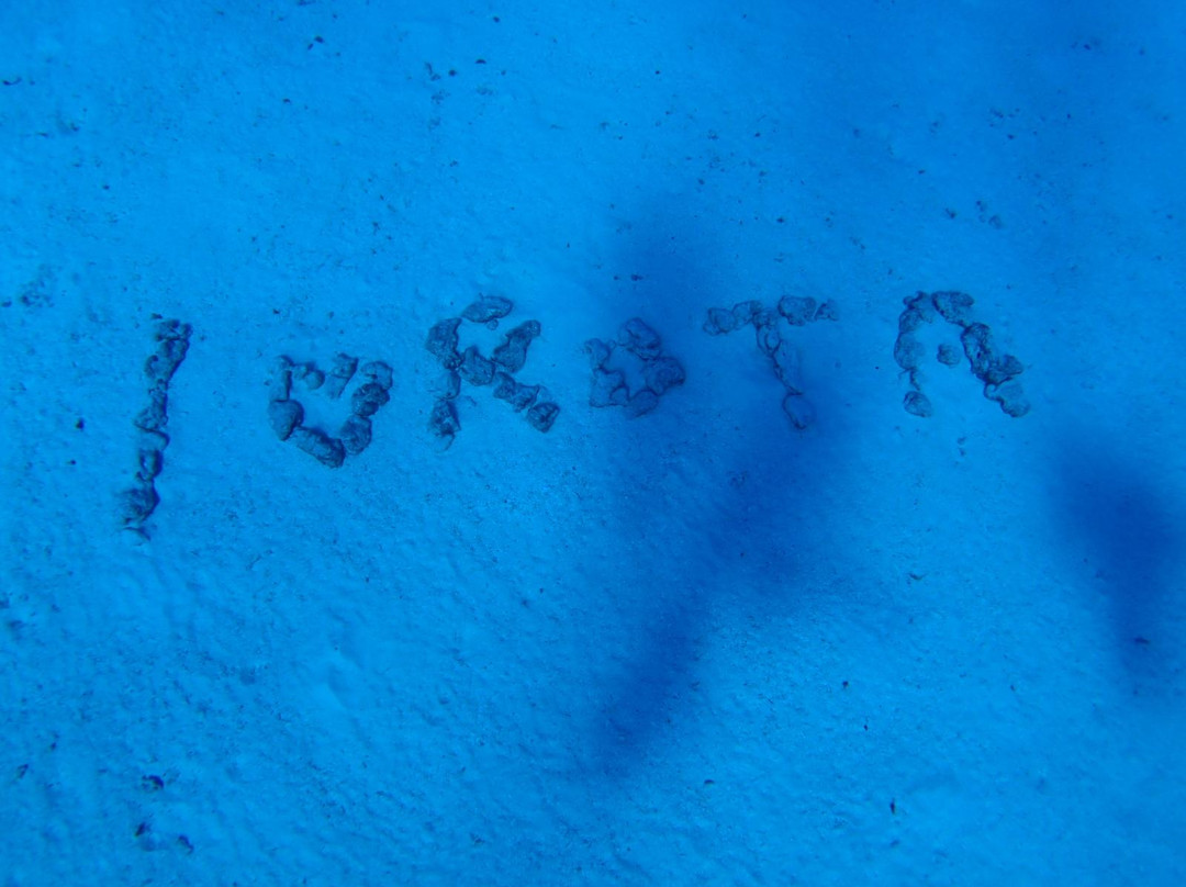 Blue Palms - Day Tours-Rota必去景点