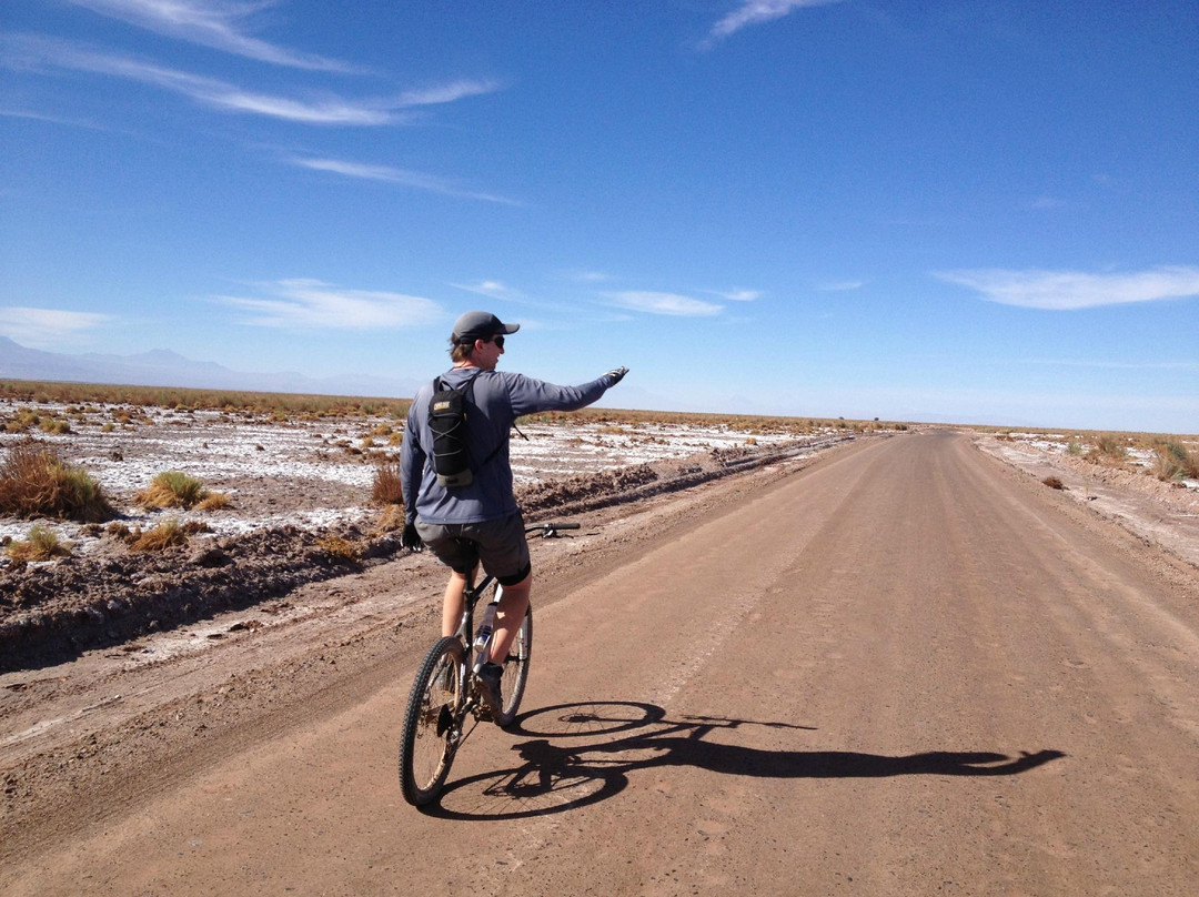 Atacama Loft & Expeditions - Tours景点图片