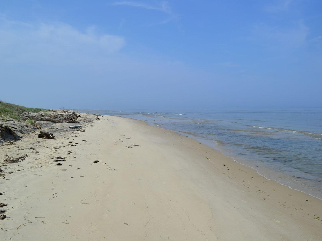 Savage Neck Dunes Dunes Natural Area Preserve-Eastville必去景点