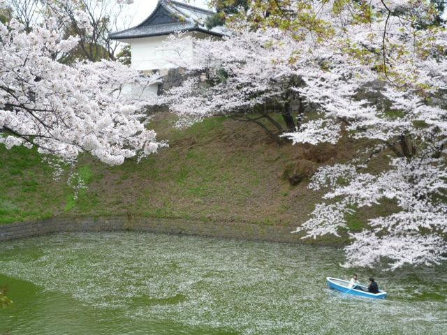 千鸟渊-千代田区必去景点