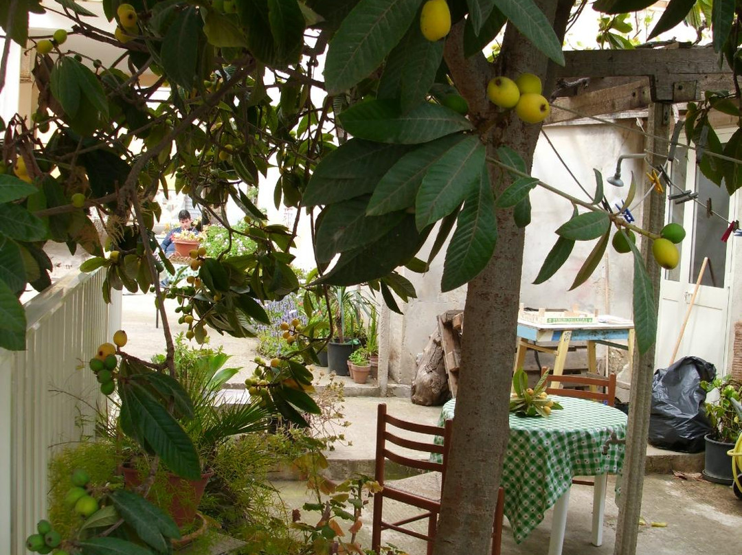 Il Gelso Bianco主图