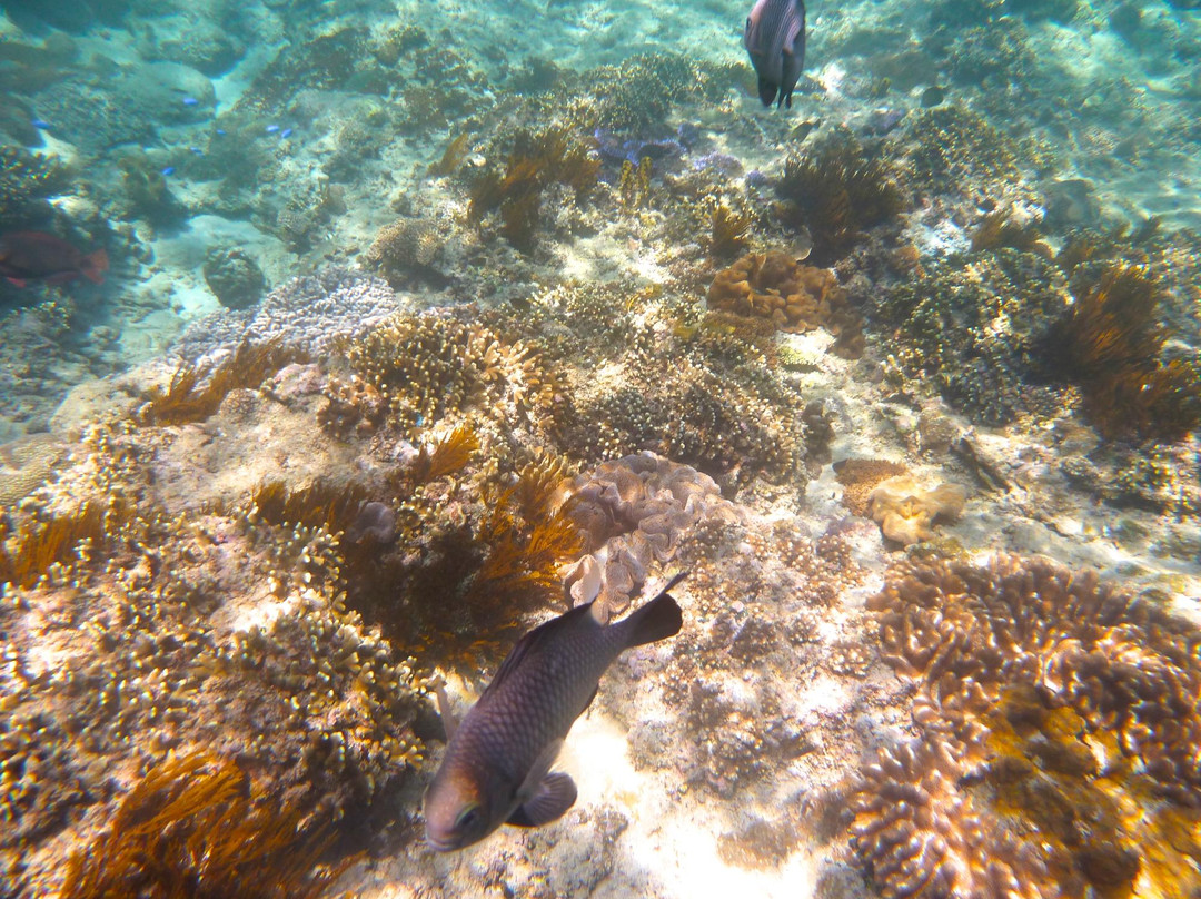 巴厘冒险水肺潜水-水明漾必去景点