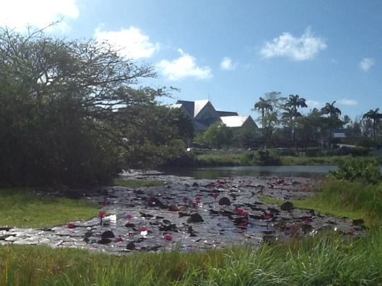 Tobago Plantations Beach and Golf Resort-低地必去景点