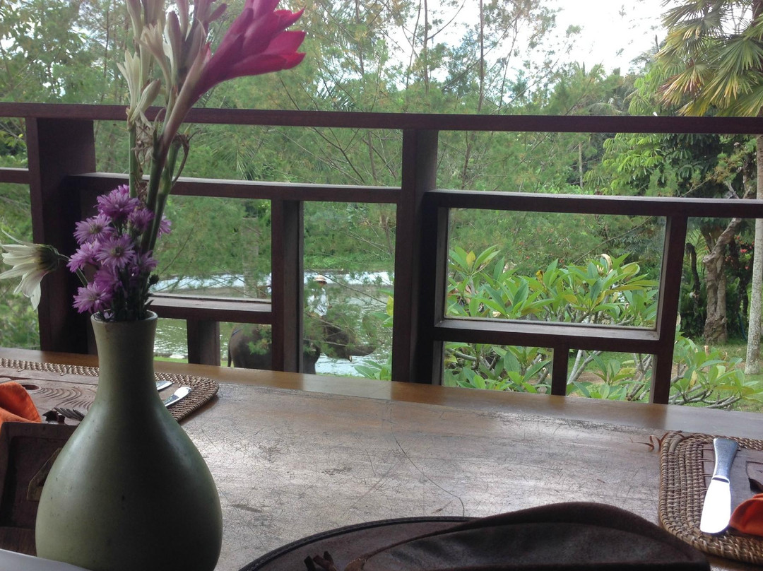 巴厘大象营-Carangsari必去景点