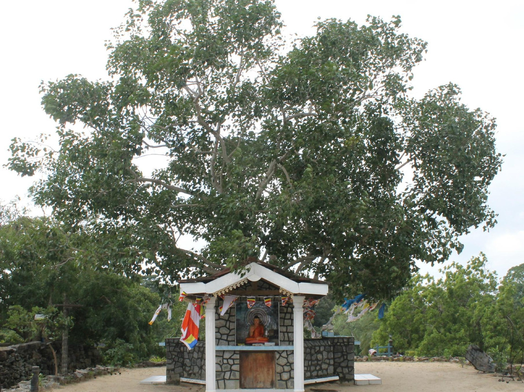 Buddhangala Monastery-Ampara必去景点