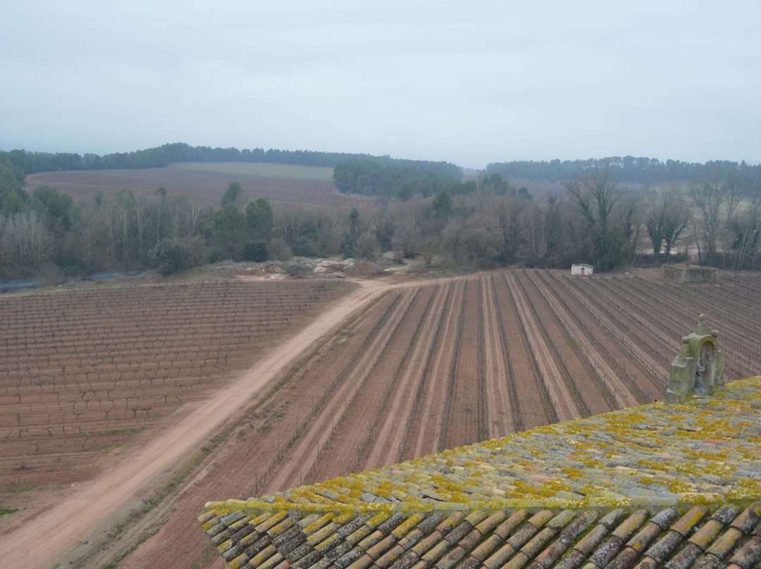 Castlexperience Wine Tours-巴塞罗那必去景点