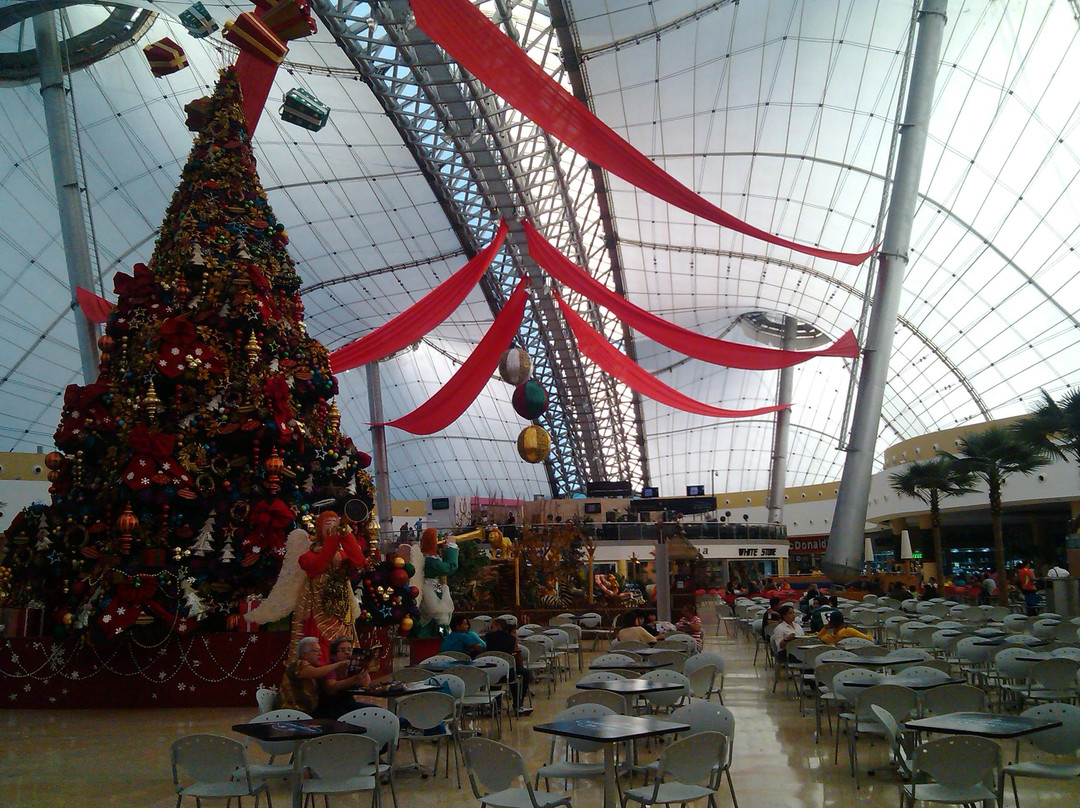 Sambil Barquisimeto Mall景点图片