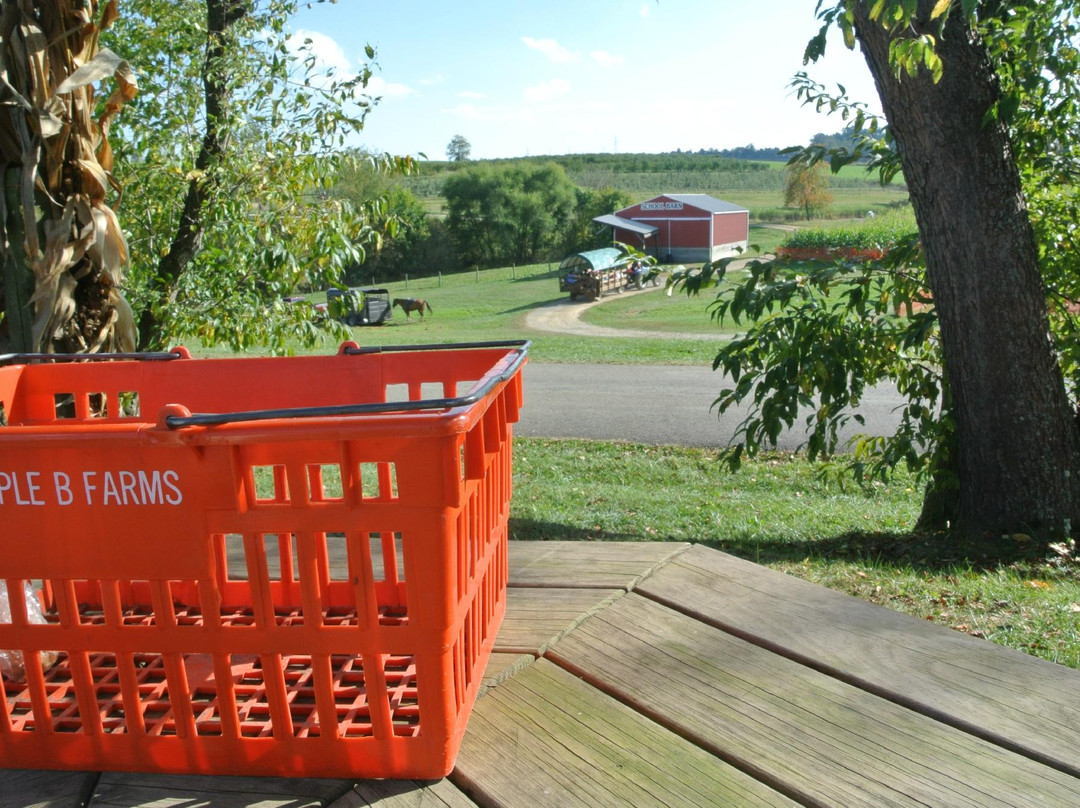Triple B Farms-Monongahela必去景点