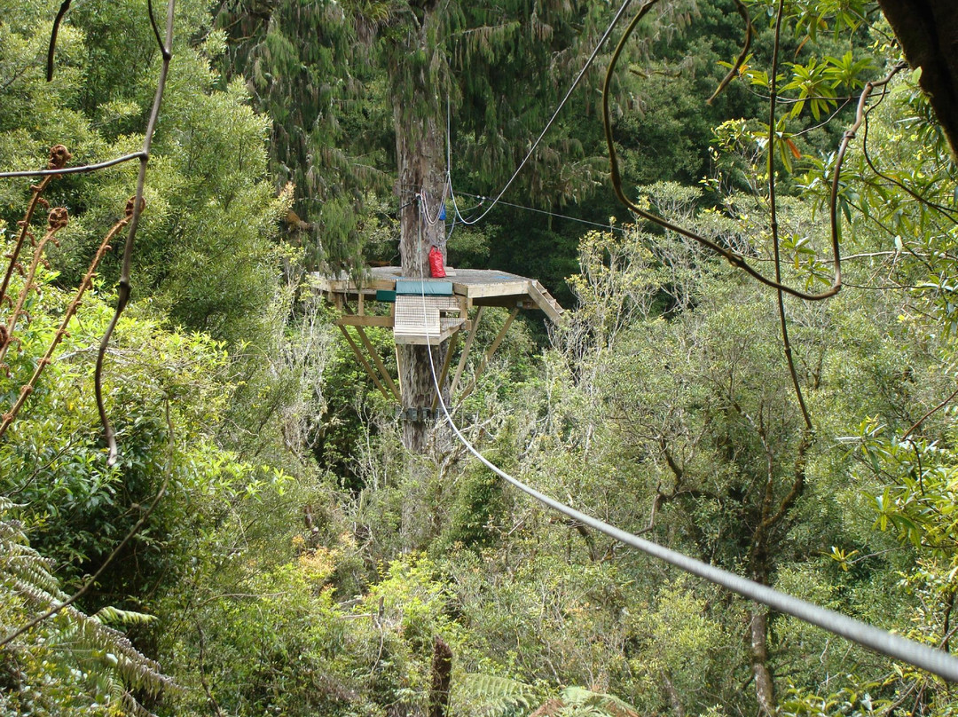 罗托鲁瓦树冠之旅-罗托鲁瓦必去景点