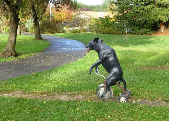 Davis Greenbelt-戴维斯必去景点