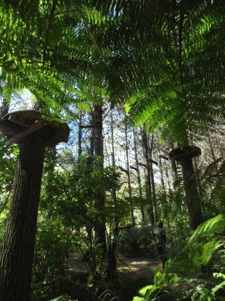 Adventure Forest景点图片