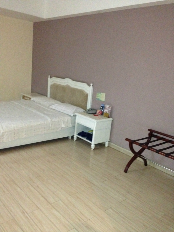 精通安君酒店-客卧