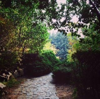 Jamshidieh Stone Garden景点图片