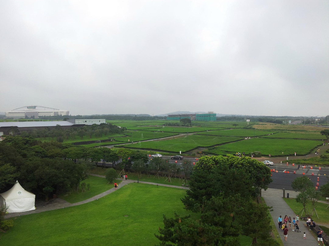 绿茶博物馆-西归浦市必去景点