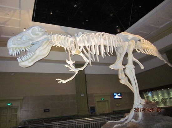 恐龙谷温泉度假村主图