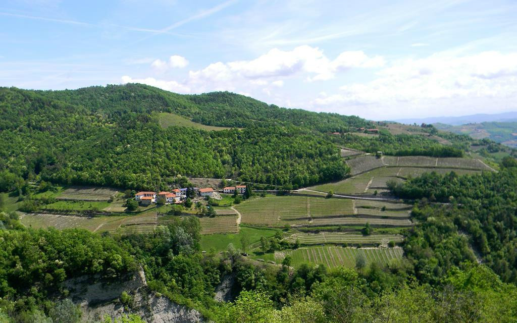 Borgo Moncalvo景点图片