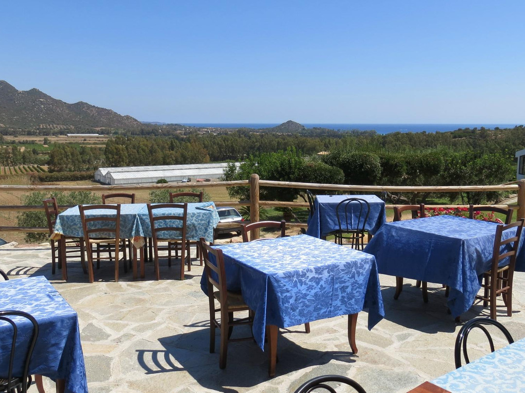 Cala Sinzias酒店住宿-Agriturismo gli Ulivi