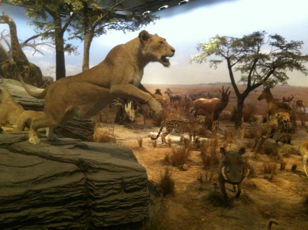 上海科技馆-上海市必去景点