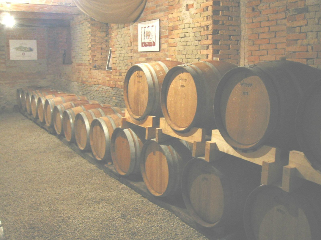 Azienda Agricola Franco Mondo景点图片