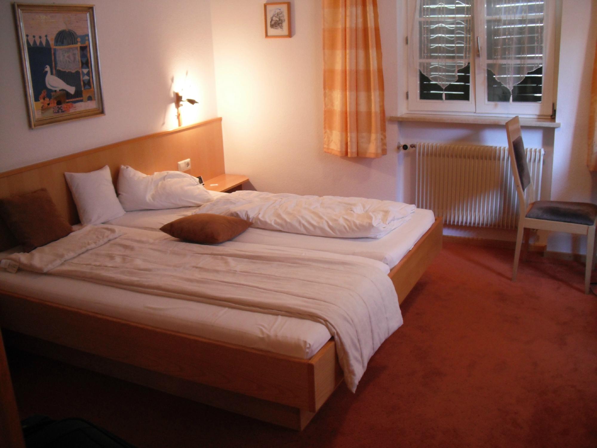 Hotel Blaue Traube-酒店景观