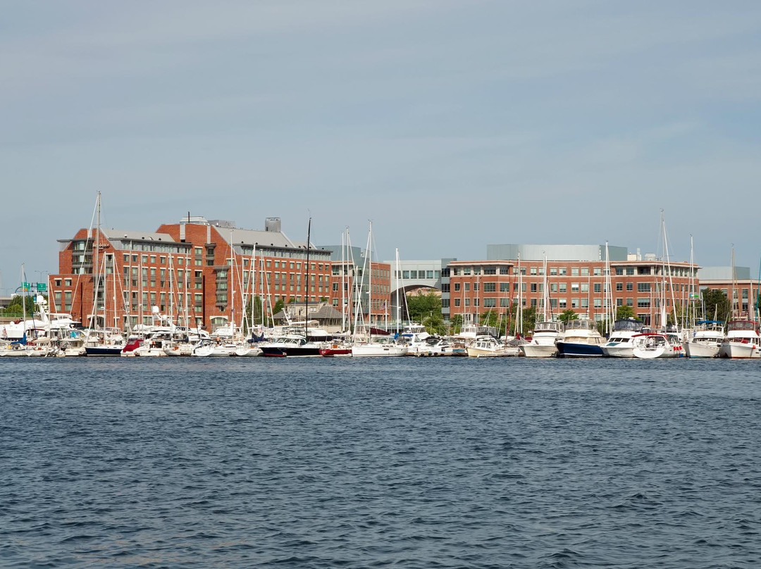 Boston Harborwalk景点图片