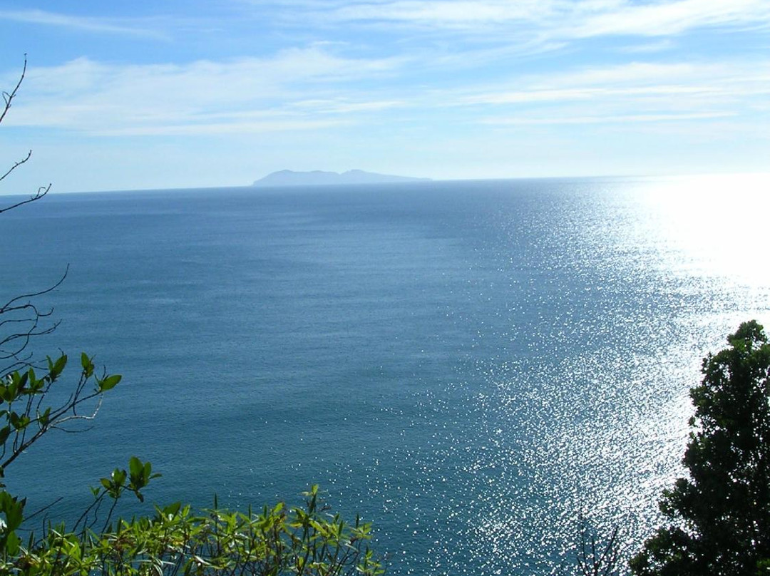 Waihi Beach Wellness景点图片