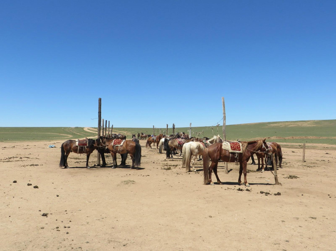 希拉穆仁草原-达尔罕茂明安联合旗必去景点