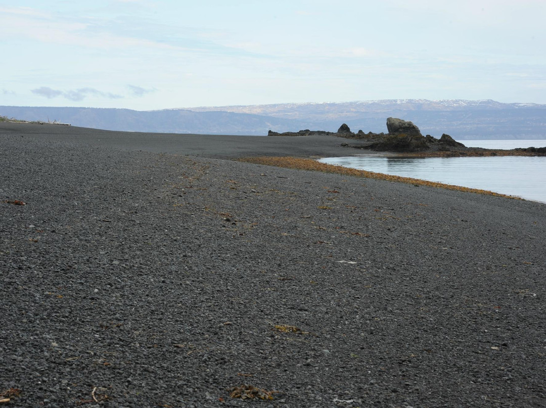 Center for Alaskan Coastal Studies-荷马必去景点