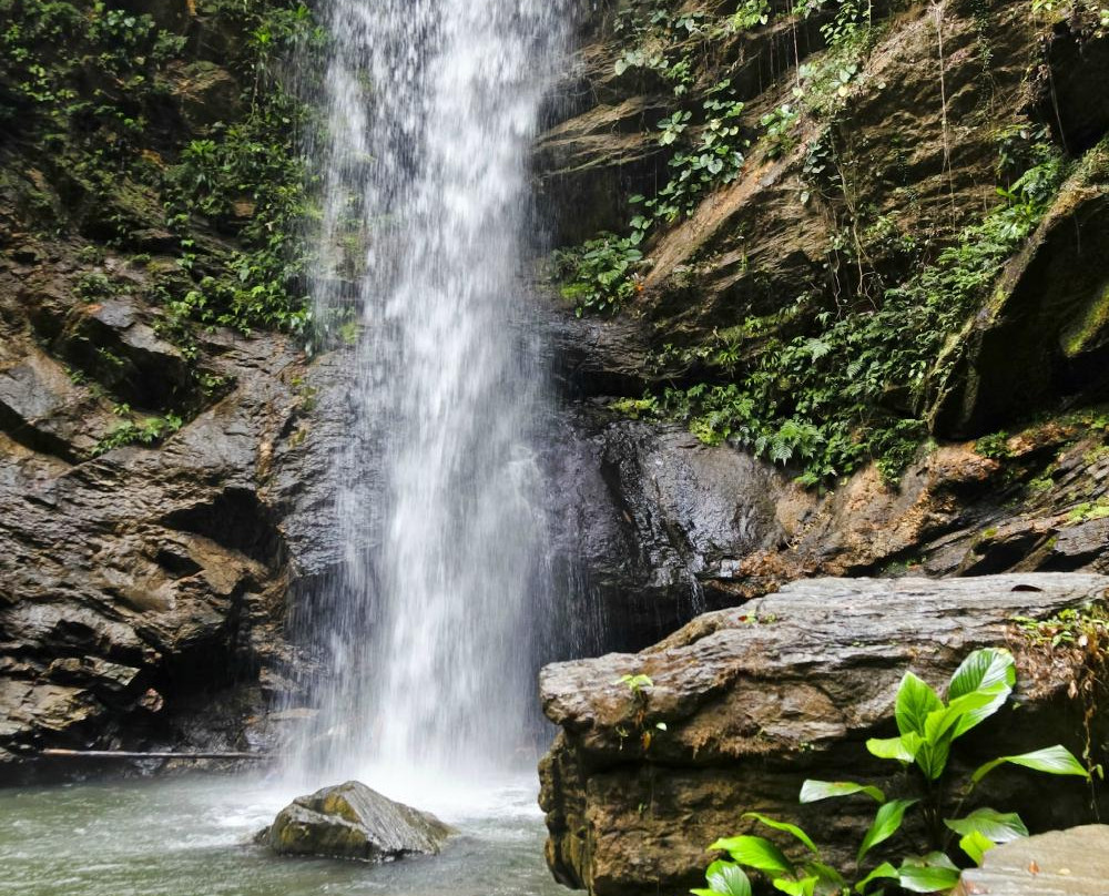 Gail's Exclusive Tours Services Limited-西班牙港必去景点