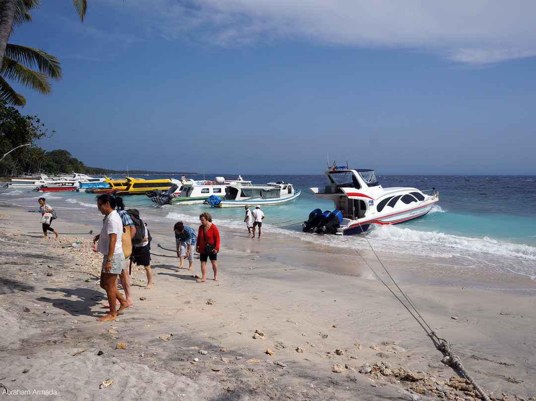 Friends of the National Parks Foundation Wildlife & Conservation Centre-珀尼达岛必去景点