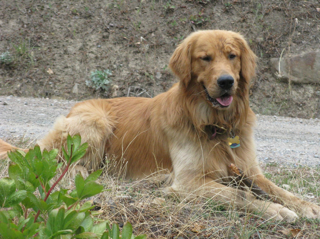 Watercraft Rentals-桑德波因特必去景点