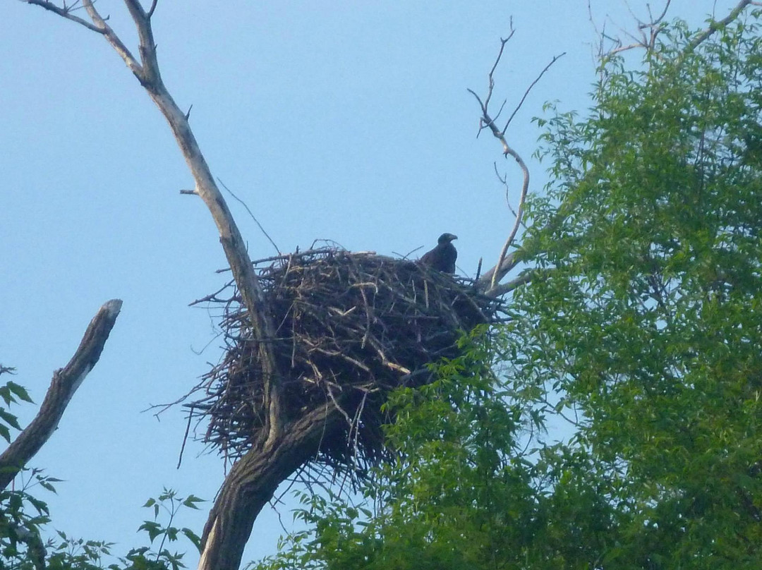 The Gear ReSource Outfitters-Dundas必去景点