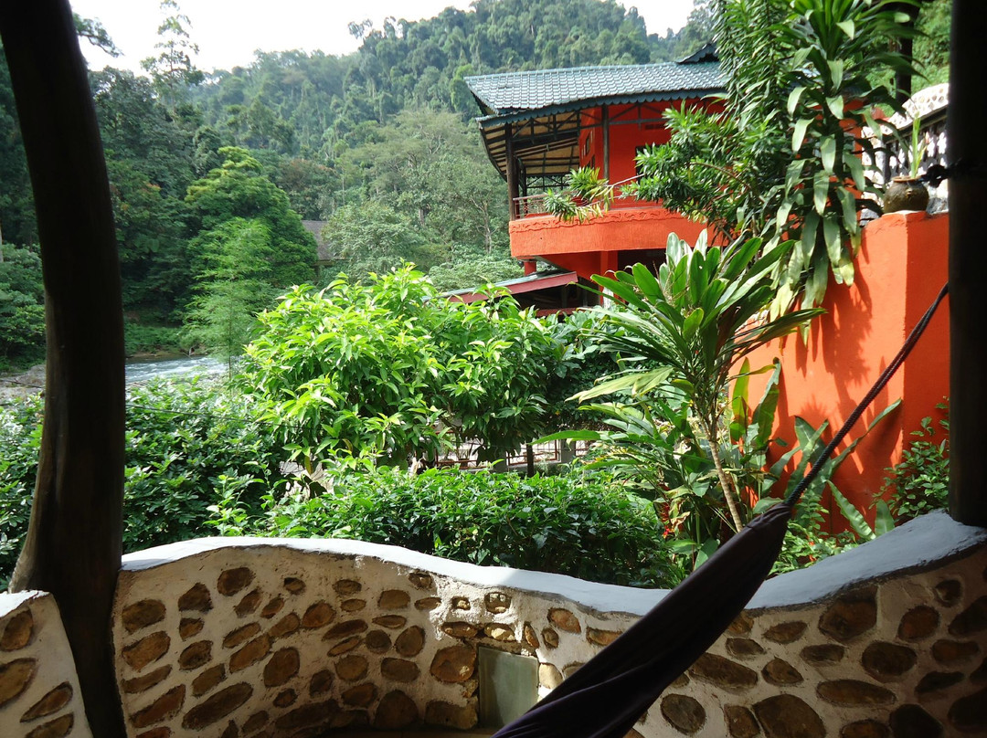 Harimau Sumatra-武吉拉旺必去景点