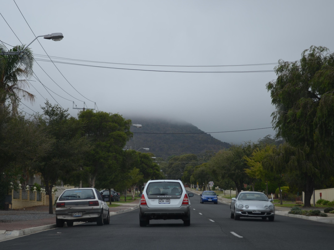 Black Hill Conservation Park-阿德莱德必去景点