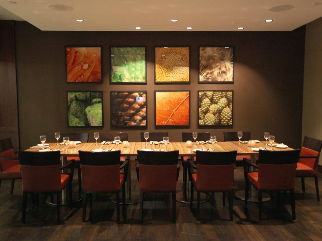 Brooklyn Park酒店住宿-Minneapolis Marriott Northwest Hotel & Conference Center