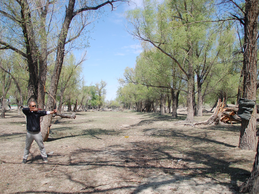 鸽子窝客栈主图