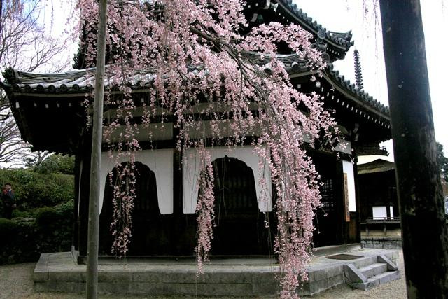 善峰寺-京都市必去景点