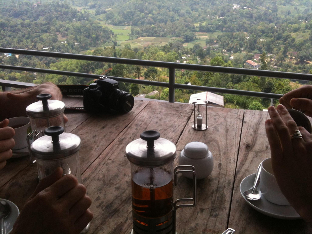 Halpewatte Tea Factory Tour-埃勒必去景点