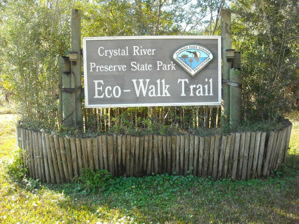 Crystal River Preserve State Park Eco-Walk-克里斯特尔里弗必去景点