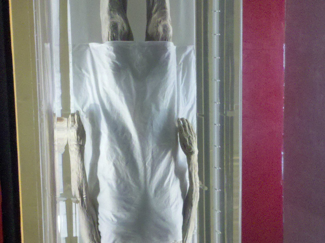 西汉女尸-长沙市必去景点