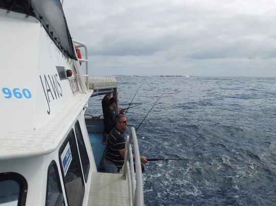 Black Jack Charters-埃斯佩兰斯必去景点