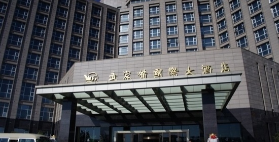 武家嘴国际大酒店-客卧