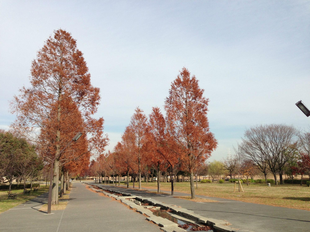 Toneri Park-足立区必去景点
