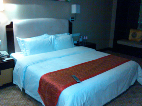 洪崖洞大酒店主图