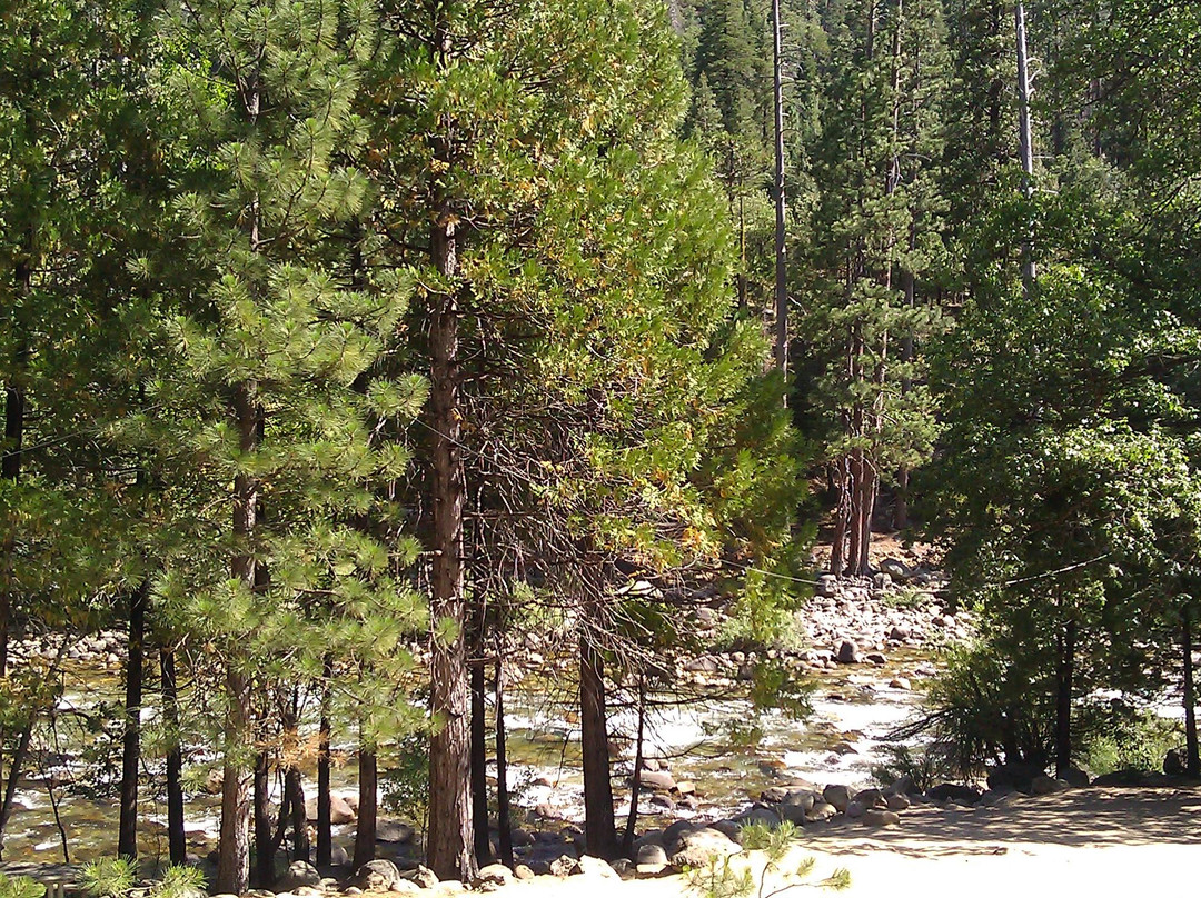 Kings Canyon-红杉&国王峡谷国家公园必去景点