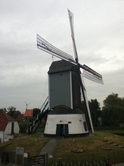 Oostmolen Windmill景点图片