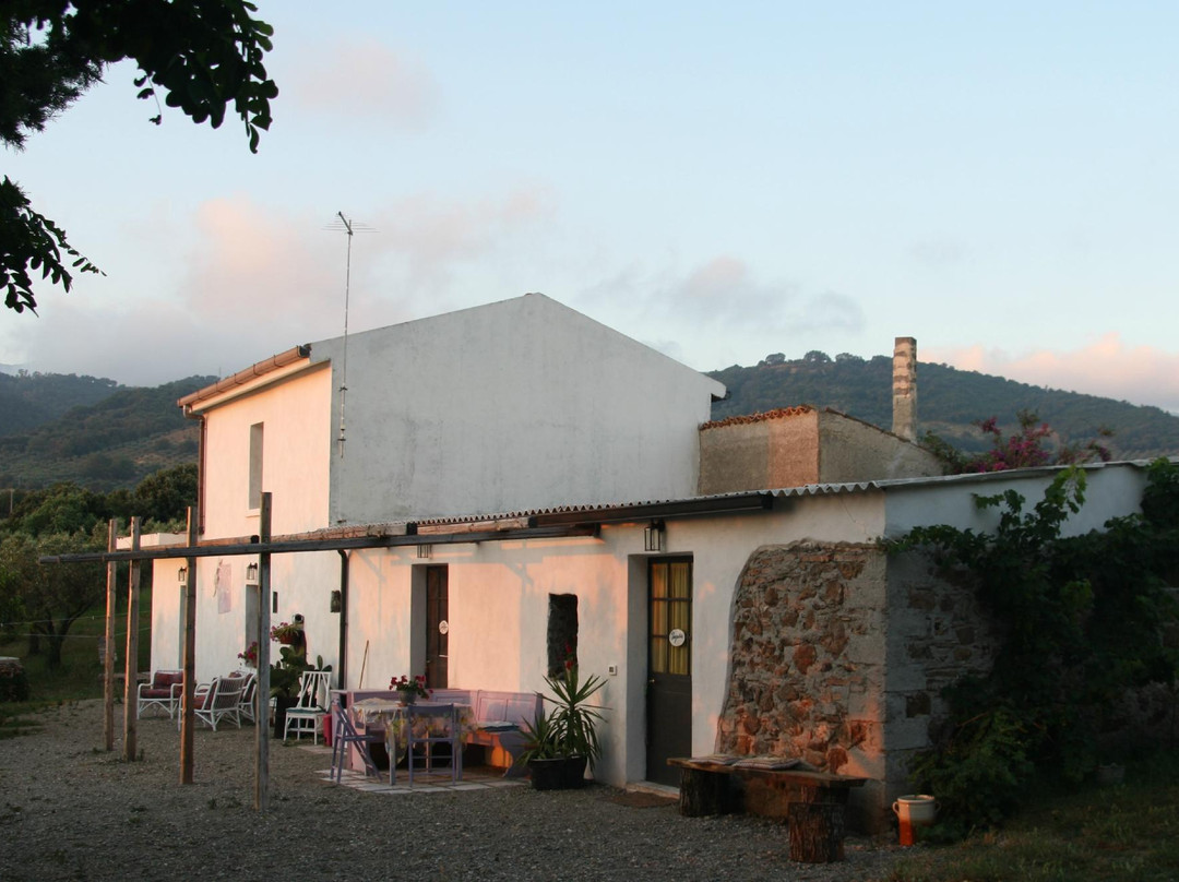 B&B Signorelli