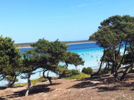 La Pelosa Beach-斯廷蒂诺必去景点