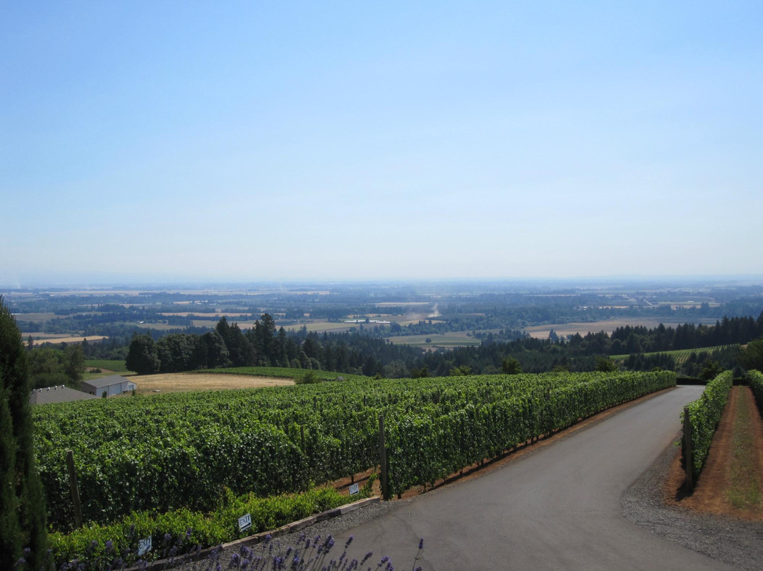 White Rose Estate Winery And Vineyard-Dayton必去景点